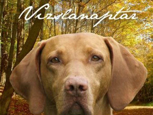 Referencia: Naptár